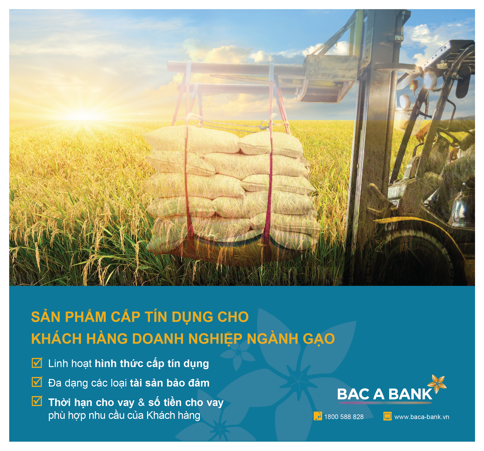 Doanh nghiệp ngành gạo đón &quot;trợ lực&quot; từ BAC A BANK - Ảnh 2.