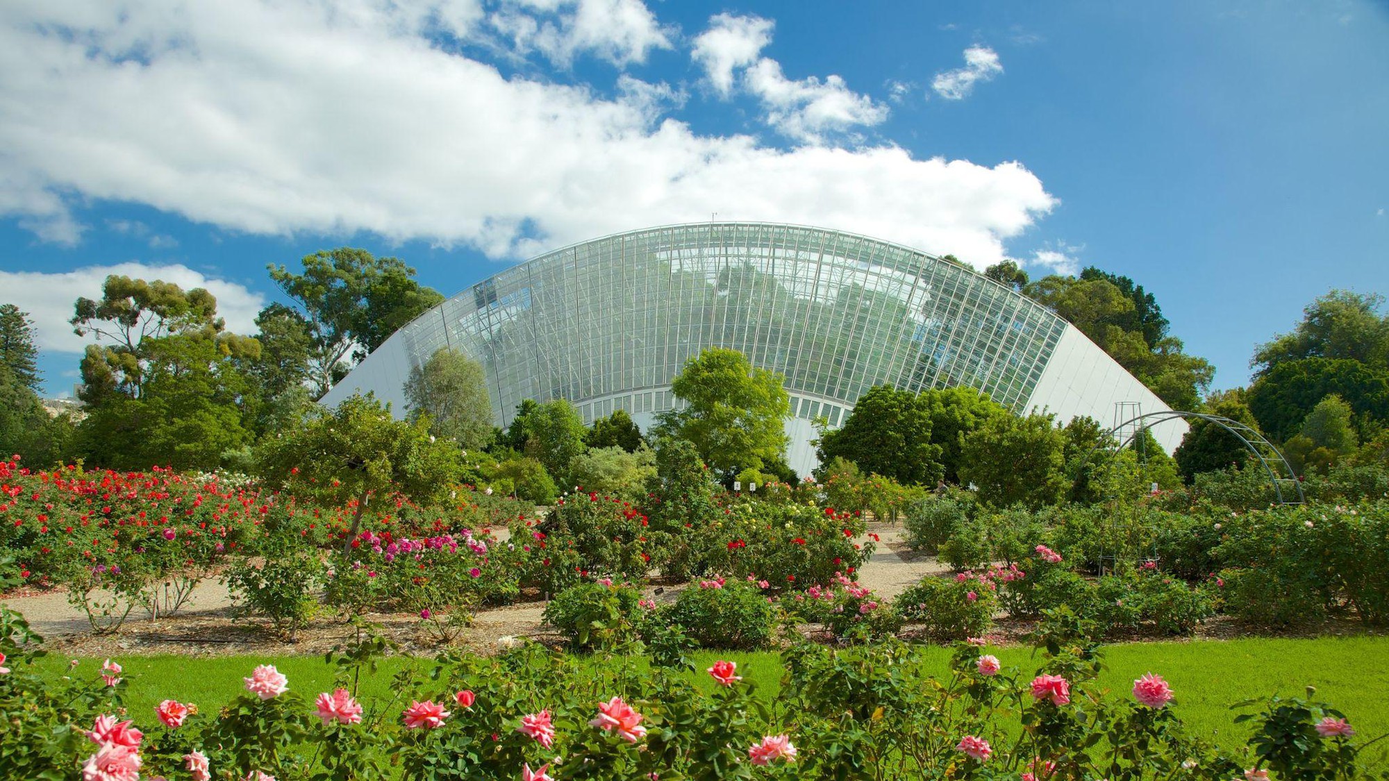 Ngắm nhìn những khu vườn xinh đẹp ở Adelaide, Australia - Ảnh 5.