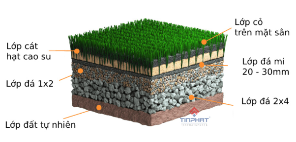 Tín Phát Sports - Công ty xây dựng sân cỏ nhân tạo uy tín - Ảnh 2.
