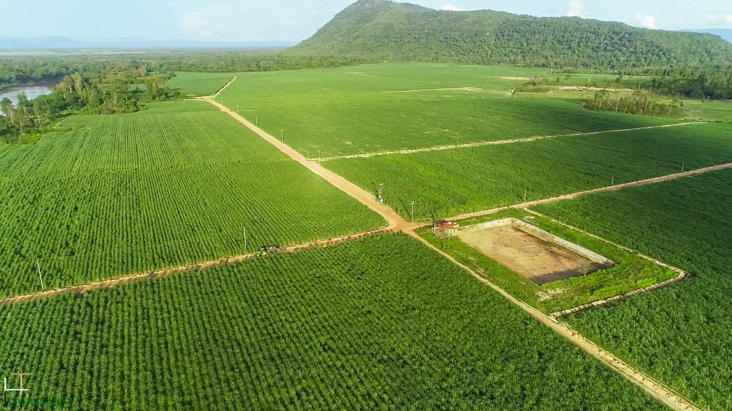 Phó Chủ tịch TTC AgriS mua vào SBT với mức giá chủ động cao hơn 2,7 lần thị giá - Ảnh 2. Phó Chủ tịch TTC AgriS mua vào SBT với mức giá chủ động cao hơn 2,7 lần thị giá - Ảnh 2.