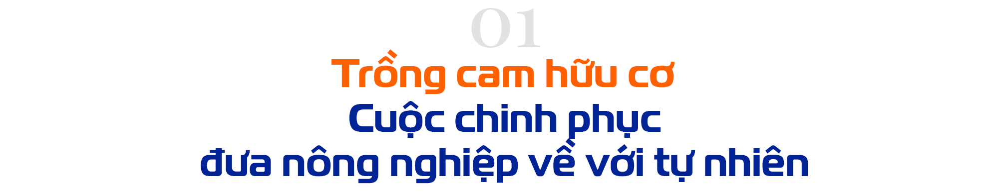 Dân tài chính làm nông nghiệp tử tế và ‘bí mật’ của loại Cam Mặt Trời giá 2,2 triệu đồng/kg - Ảnh 1.