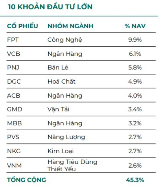 Một quỹ thuộc Dragon Capital bất ngờ công bố hiệu suất cao gấp đôi Index sau khi chuyển hướng sang &quot;ôm&quot; cổ phiếu hưởng cổ tức - Ảnh 2.