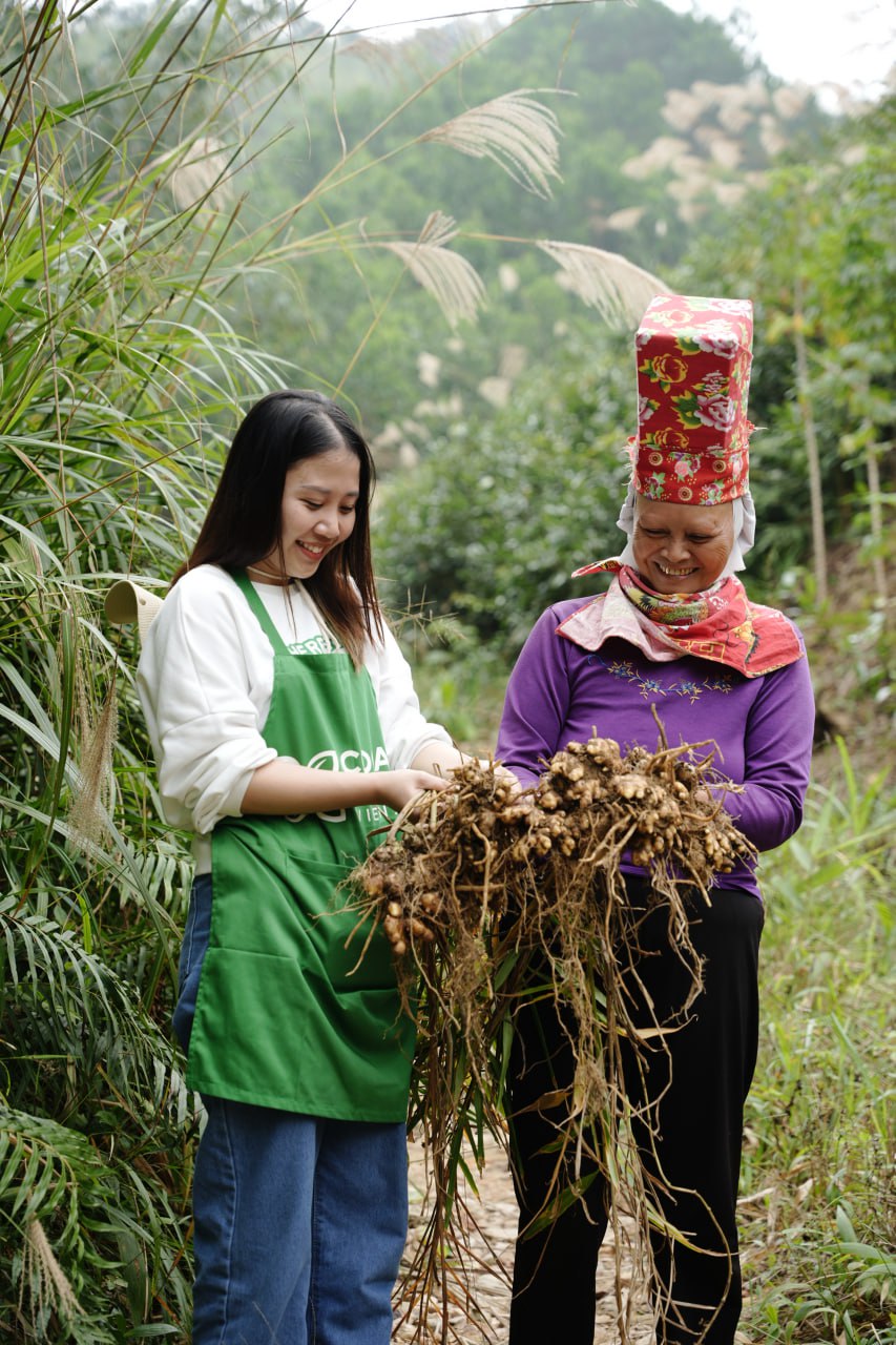 Chi mạnh tay mua dầu gội thiên nhiên hữu cơ, chị em đã hiểu về nó? - Ảnh 3.