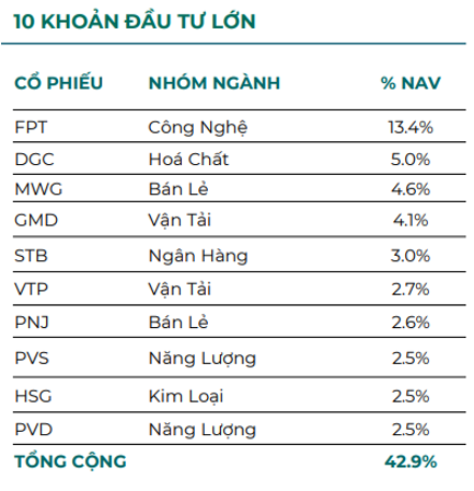 Một quỹ thuộc Dragon Capital bất ngờ công bố hiệu suất cao gấp đôi Index sau khi chuyển hướng sang &quot;ôm&quot; cổ phiếu hưởng cổ tức - Ảnh 4.