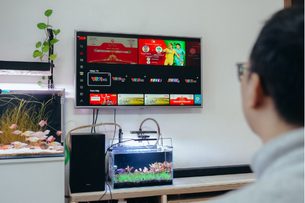 TV360 dùng công nghệ Việt để phục vụ 4 triệu người xem trực tuyến Euro 2024 cùng lúc - Ảnh 2.