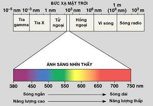 Phiên bản Valentine của chiếc túi xách Flower gần 10.000 người sở hữu của CHAUTFIFTH có gì đặc biệt? - Ảnh 1.