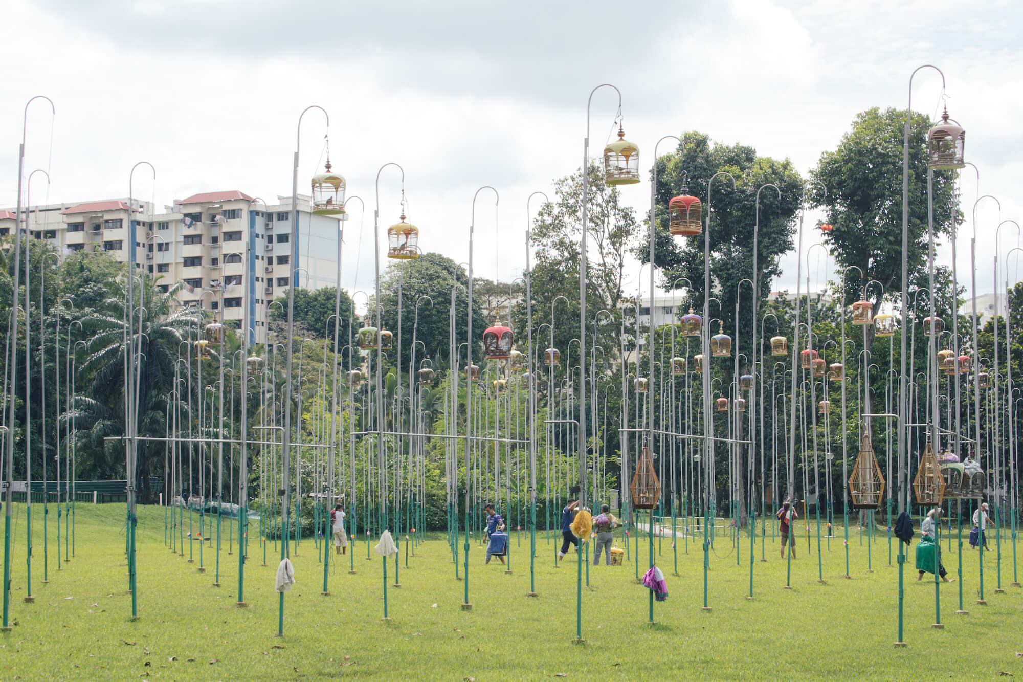 Câu chuyện về nhiếp ảnh gia trẻ “phải lòng” đất nước Singapore - Ảnh 5.