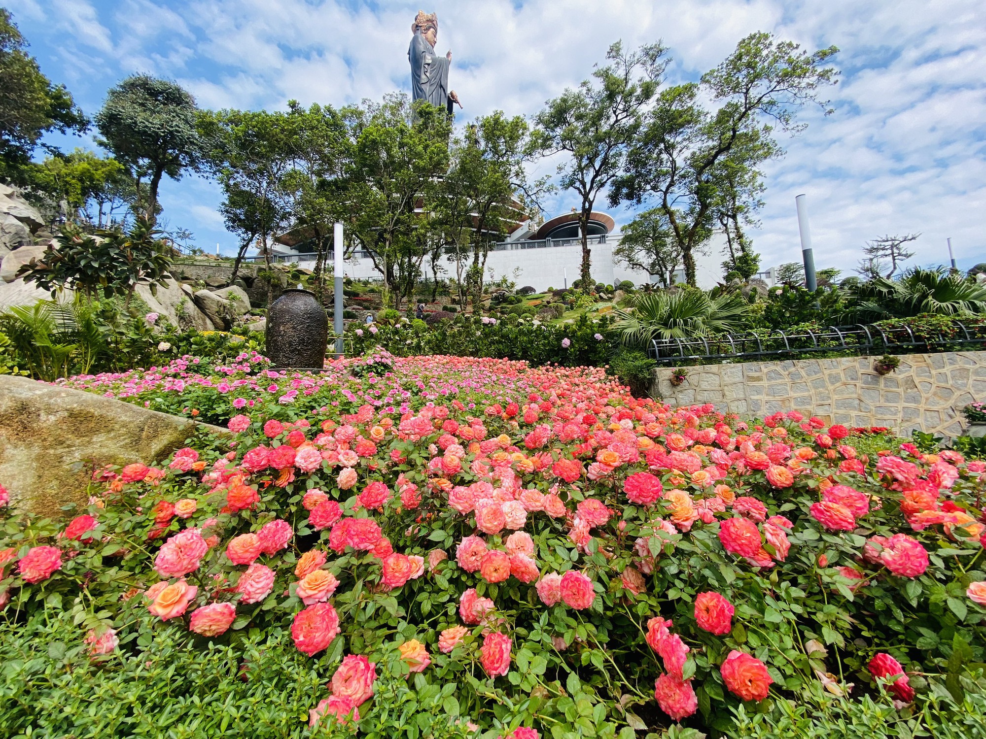 Dân Sài Gòn rủ nhau lên núi Bà Đen trốn nóng và ngắm hoa tulip cuối vụ - Ảnh 2.