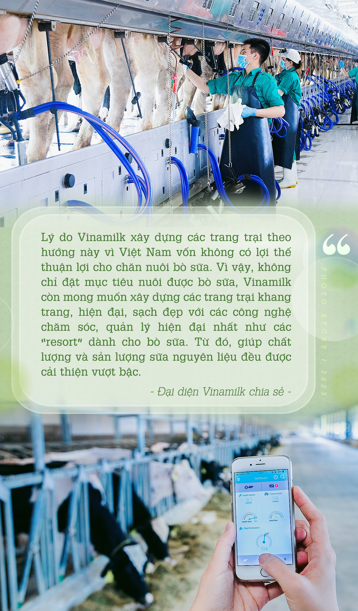 Bộ sưu tập các mô hình trang trại bò sữa ấn tượng của Vinamilk - Ảnh 3.