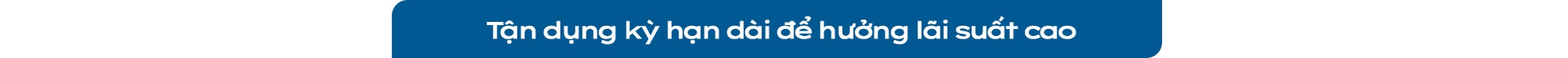 Đi tìm nơi trú ẩn an toàn cho đồng tiền nhàn rỗi - Ảnh 10.