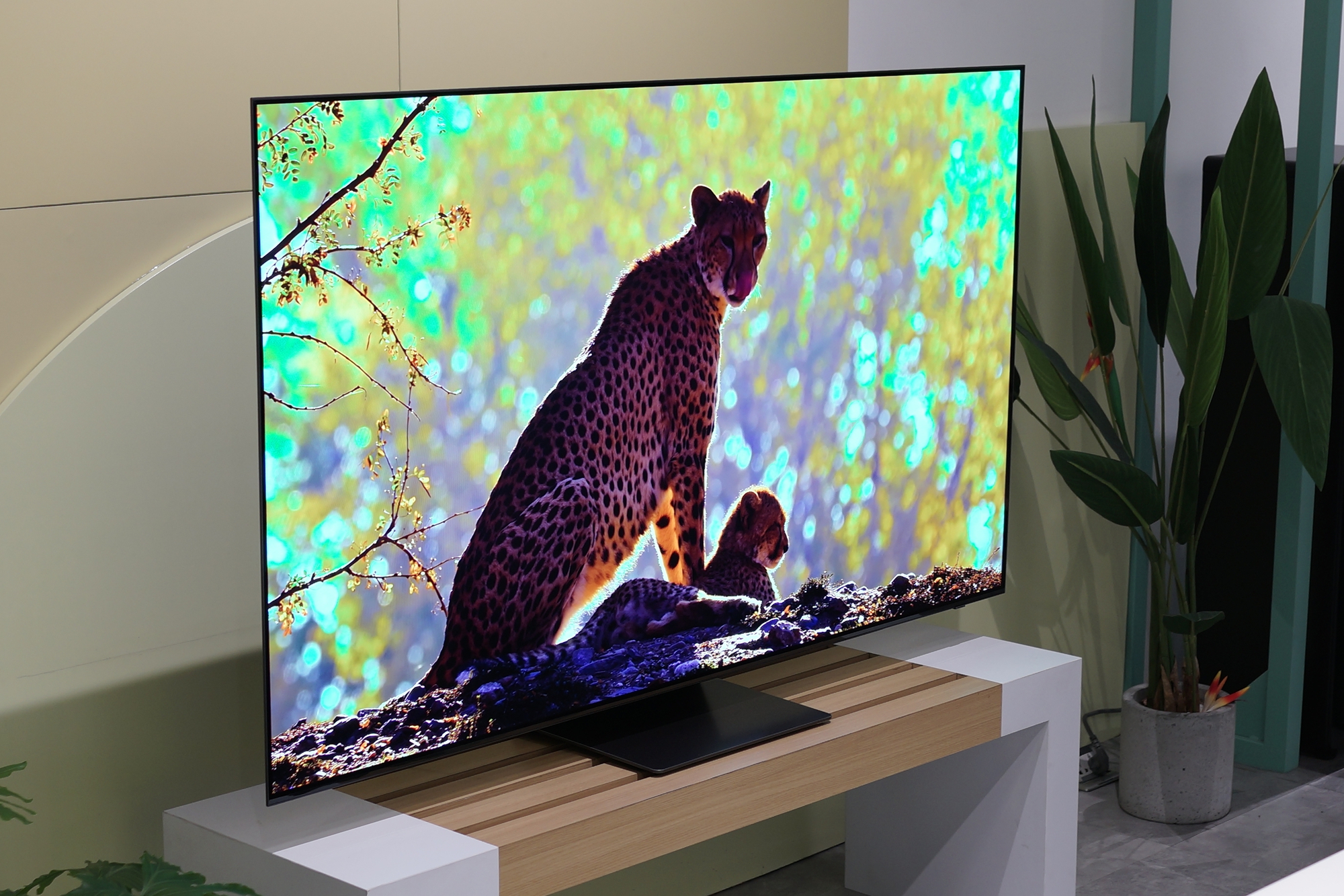 Định chuẩn mới cho trải nghiệm nghe nhìn khác biệt trên TV Samsung OLED - Ảnh 3.