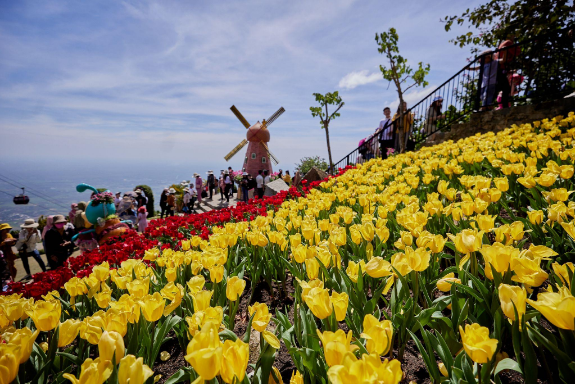Nhiều trải nghiệm hấp dẫn, núi Bà Đen hút khách kỷ lục trong tháng Giêng - Ảnh 5.
