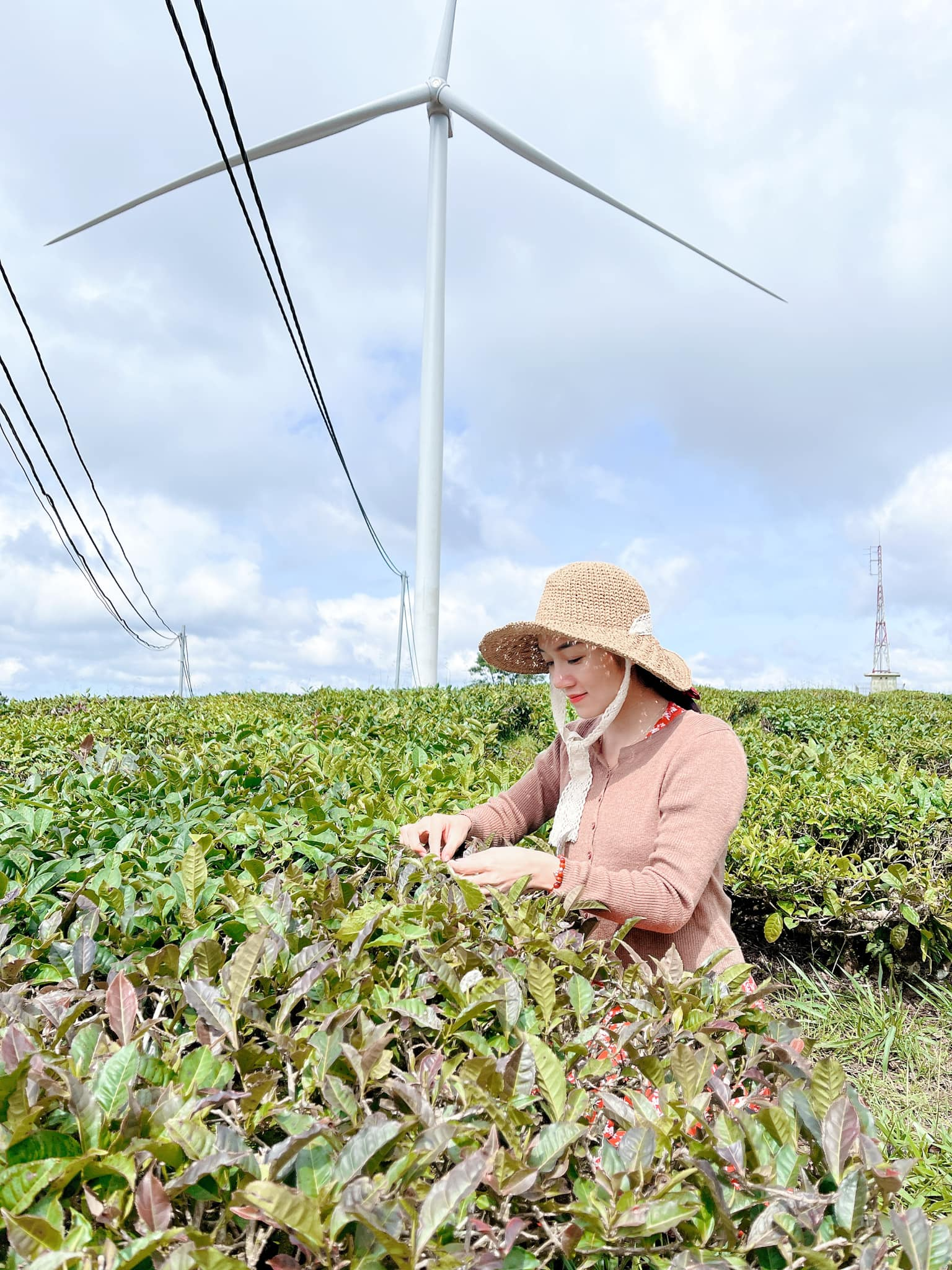 Mộc Nhan - Thương hiệu Việt mang đậm chất thiên nhiên - Ảnh 2.