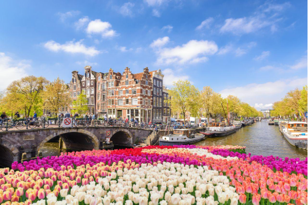 Khám phá Hà Lan: Xứ sở hoa tulip và những điều chưa kể - Ảnh 1.