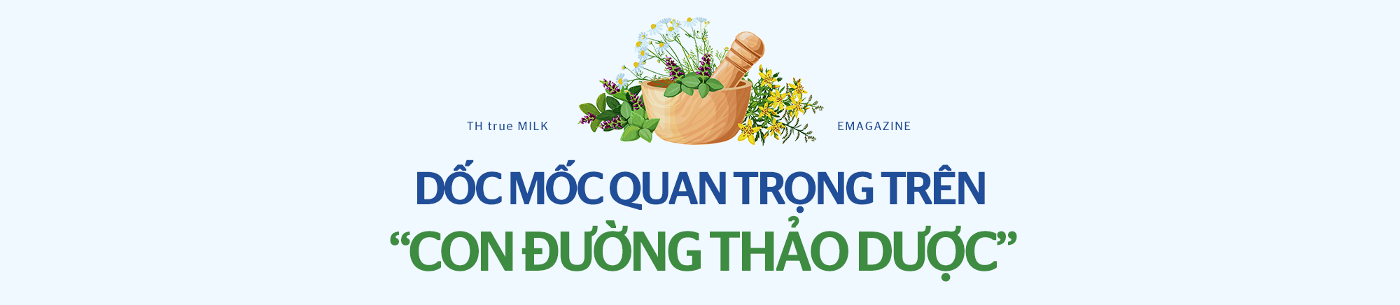 Từ gian hàng 2,4 triệu tim trên TikTok Shop tới tăng trưởng 2 con số trong năm 2022 của nhà sản xuất sữa tươi sạch hàng đầu Việt Nam - Ảnh 10.