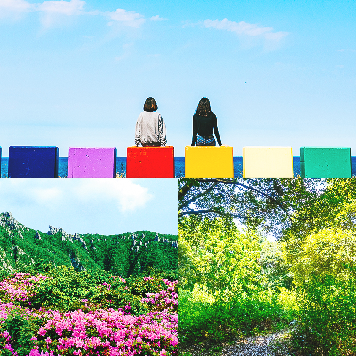 3 kiểu chill tại đảo Jeju (Hàn Quốc), kiểu số 3 sẽ làm bạn “há hốc mồm” vì độ độc lạ! - Ảnh 2.