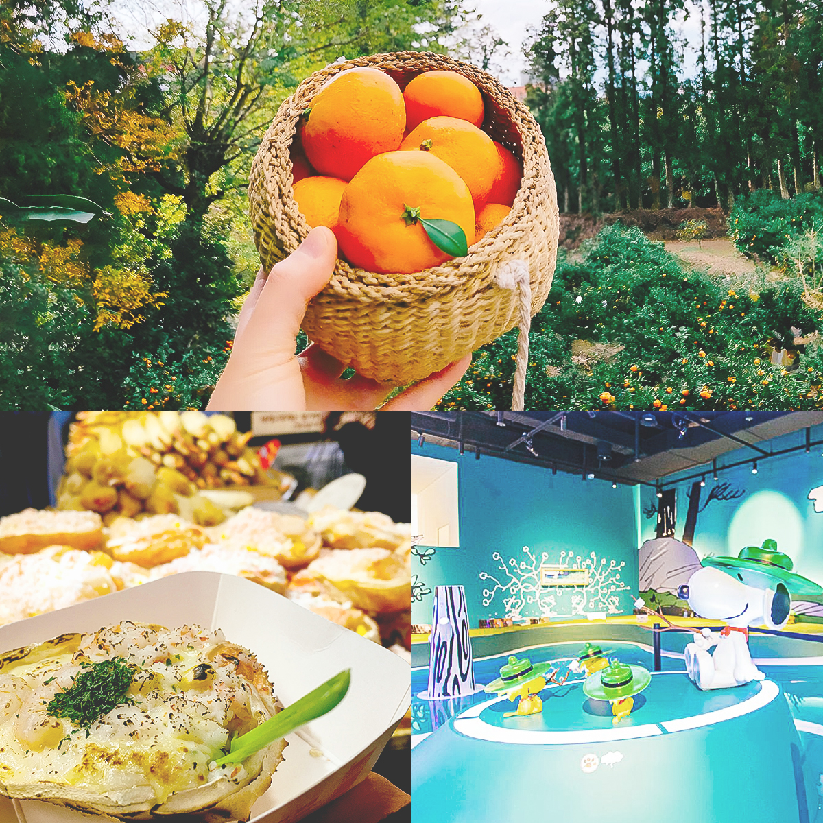 3 kiểu chill tại đảo Jeju (Hàn Quốc), kiểu số 3 sẽ làm bạn “há hốc mồm” vì độ độc lạ! - Ảnh 3.