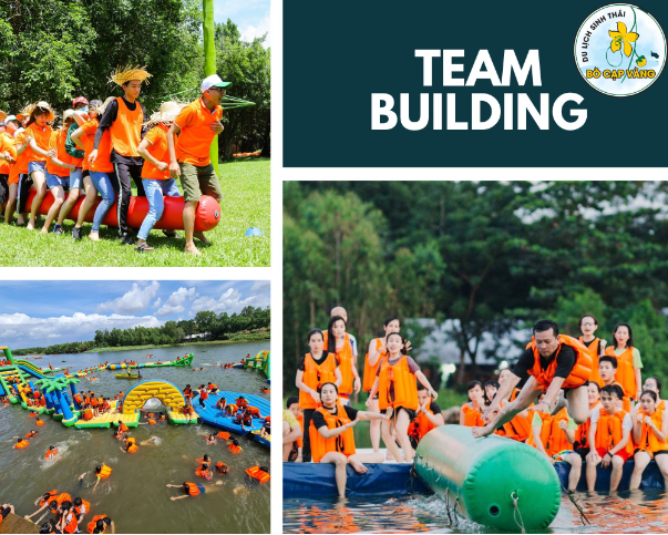 Team building là gì? Top những địa điểm tổ chức Team building gần Sài Gòn - Ảnh 1.