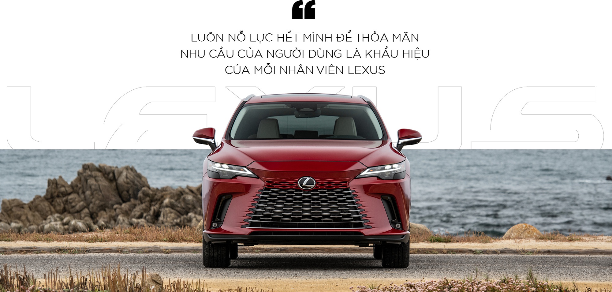 Kỷ niệm 10 năm Lexus tại Việt Nam: 4 mẫu xe mới nhất của dòng RX - Ảnh 2.