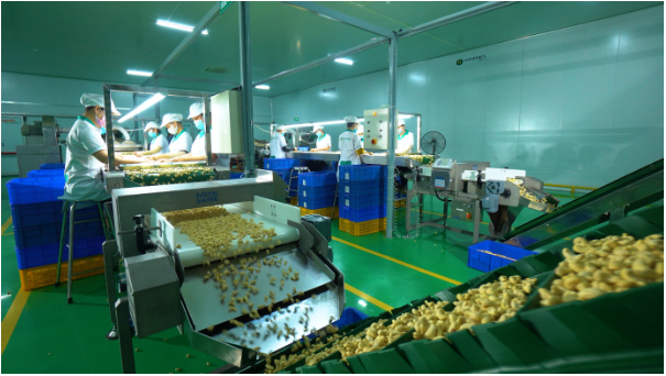 Hanfimex Group: Nâng tầm giá trị nông sản Việt cần cú huých từ chuyển đổi số - Ảnh 2.