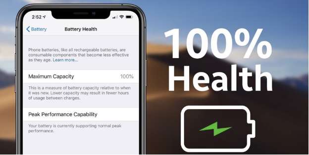 Cách kéo dài thời lượng pin cho iPhone 11 Pro Max - Ảnh 2.