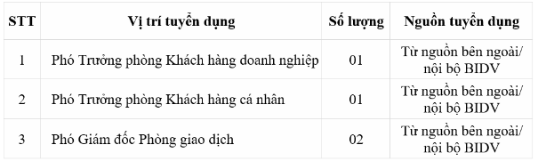 BIDV - Tuyển dụng lãnh đạo cấp phòng - Ảnh 1.