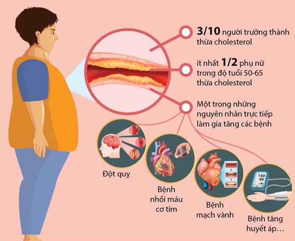 Sản phẩm nào hỗ trợ tốt cho tim mạch? - Ảnh 1.