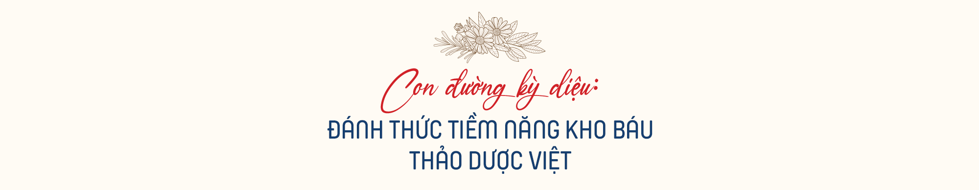 Giải mã những điều kỳ diệu làm nên thương hiệutrà thảo dược túi lọc TH true HERBAL - Ảnh 1.