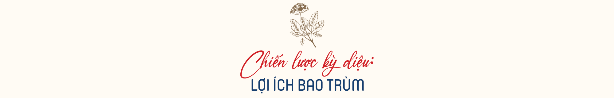 Giải mã những điều kỳ diệu làm nên thương hiệutrà thảo dược túi lọc TH true HERBAL - Ảnh 4.