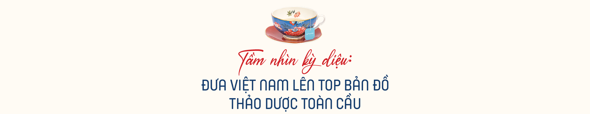 Giải mã những điều kỳ diệu làm nên thương hiệutrà thảo dược túi lọc TH true HERBAL - Ảnh 8.