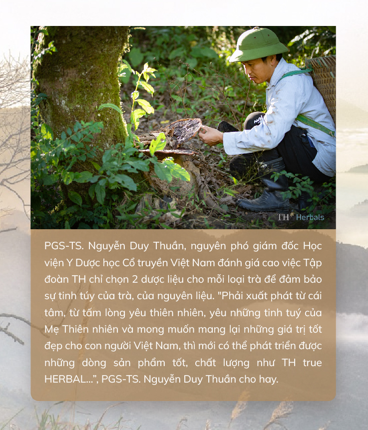 Trà túi lọc TH true HERBAL - chắt lọc và lan tỏa tinh hoa thảo dược Việt ra thế giới - Ảnh 4.
