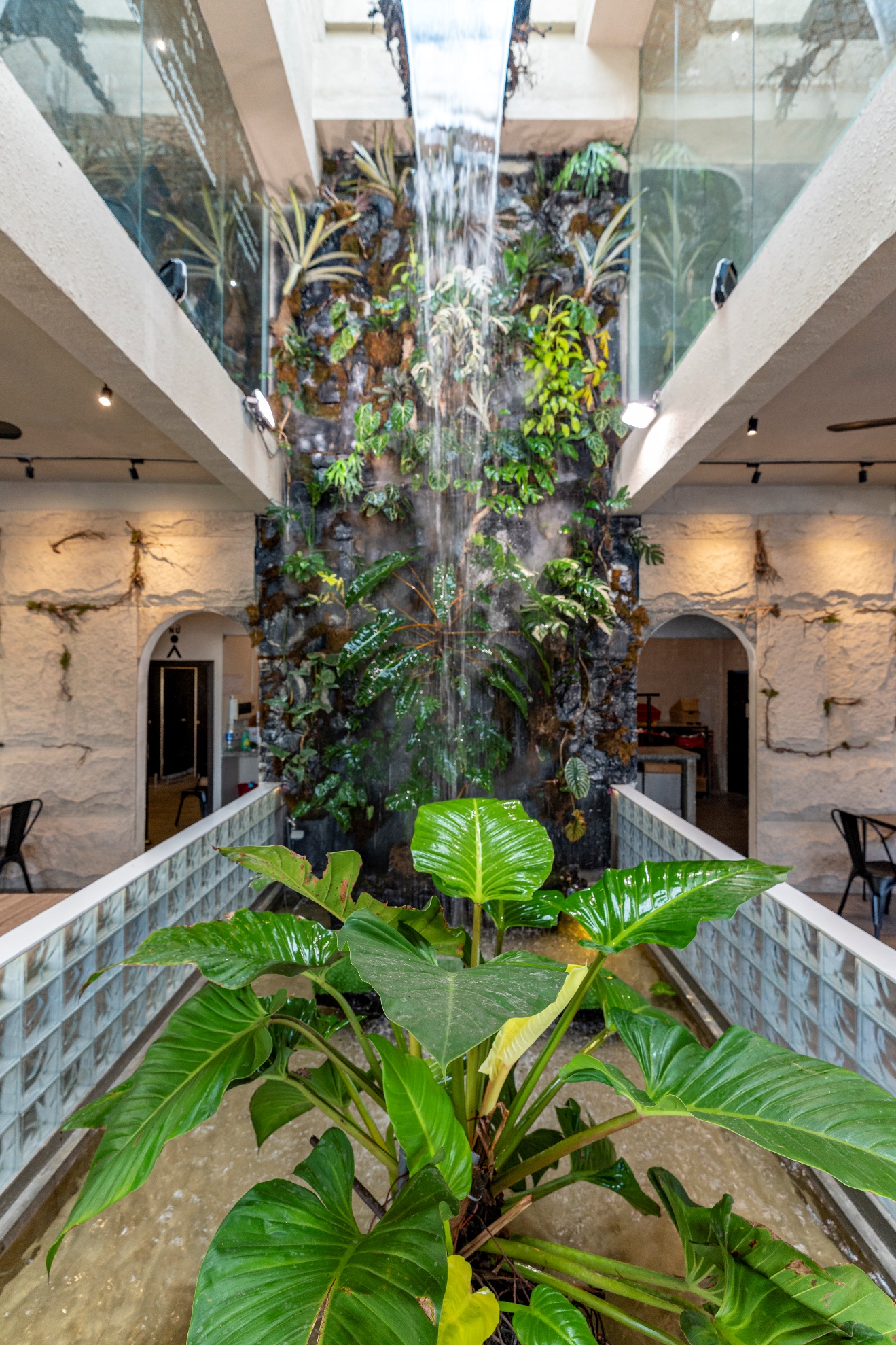 Tropical Waterfall - Không gian mới độc đáo tại Ba Gác Nướng & Bia Lê Văn Sỹ - Ảnh 4.