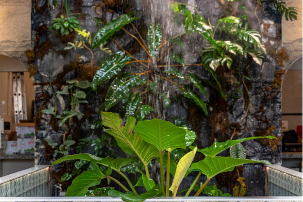 Tropical Waterfall – Không gian mới độc đáo tại Ba Gác Nướng & bia Lê Văn Sỹ - Ảnh 5.