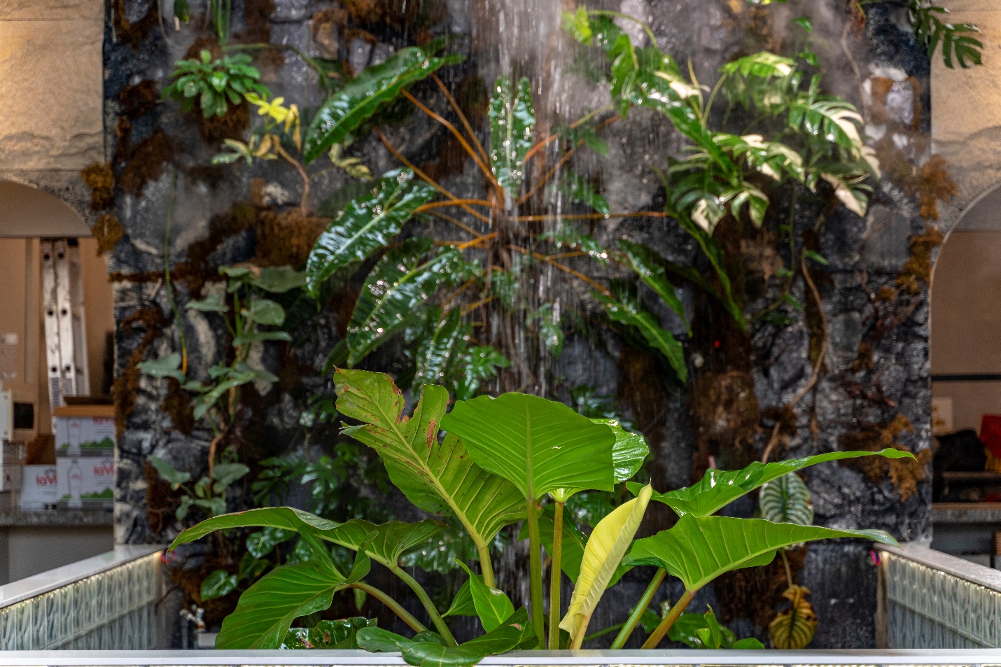 Tropical Waterfall - Không gian mới độc đáo tại Ba Gác Nướng & Bia Lê Văn Sỹ - Ảnh 5.