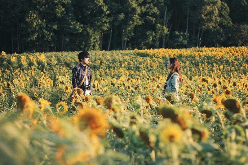 Du lịch mùa hè Hokkaido với chuyên cơ riêng - Ảnh 1.