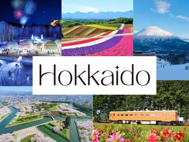 Du lịch mùa hè Hokkaido với chuyên cơ riêng - Ảnh 4.