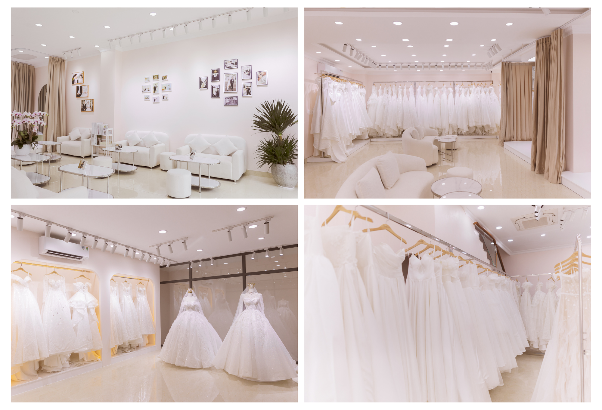 Tony Wedding - Studio chụp ảnh cưới Hàn Quốc vừa khai trương chi nhánh mới Gò Vấp - Ảnh 1.