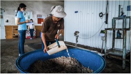 Puratos Grand-Place Việt Nam hướng tới phát triển bền vững dẫn đầu ngành thực phẩm - Ảnh 2.