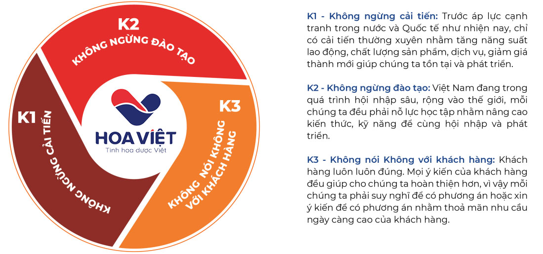 Dược phẩm Hoa Việt tái định vị thương hiệu, bước chuyển mình vươn tầm quốc tế - Ảnh 3.