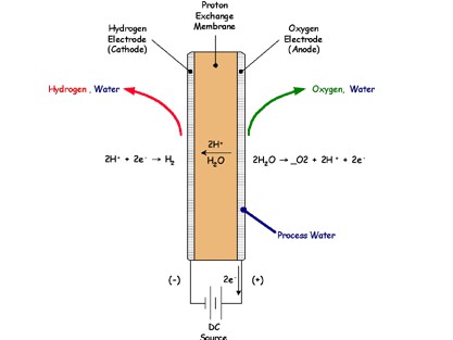 Sự trỗi dậy của công nghệ trong bảo vệ sức khỏe - Ảnh 2.