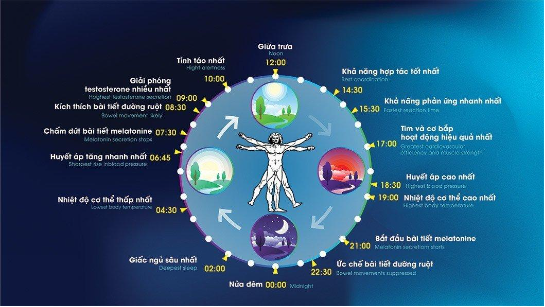 Chiếu sáng lấy con người làm trung tâm (HCL) giúp bảo vệ sức khỏe của gia đình bạn - Ảnh 2.