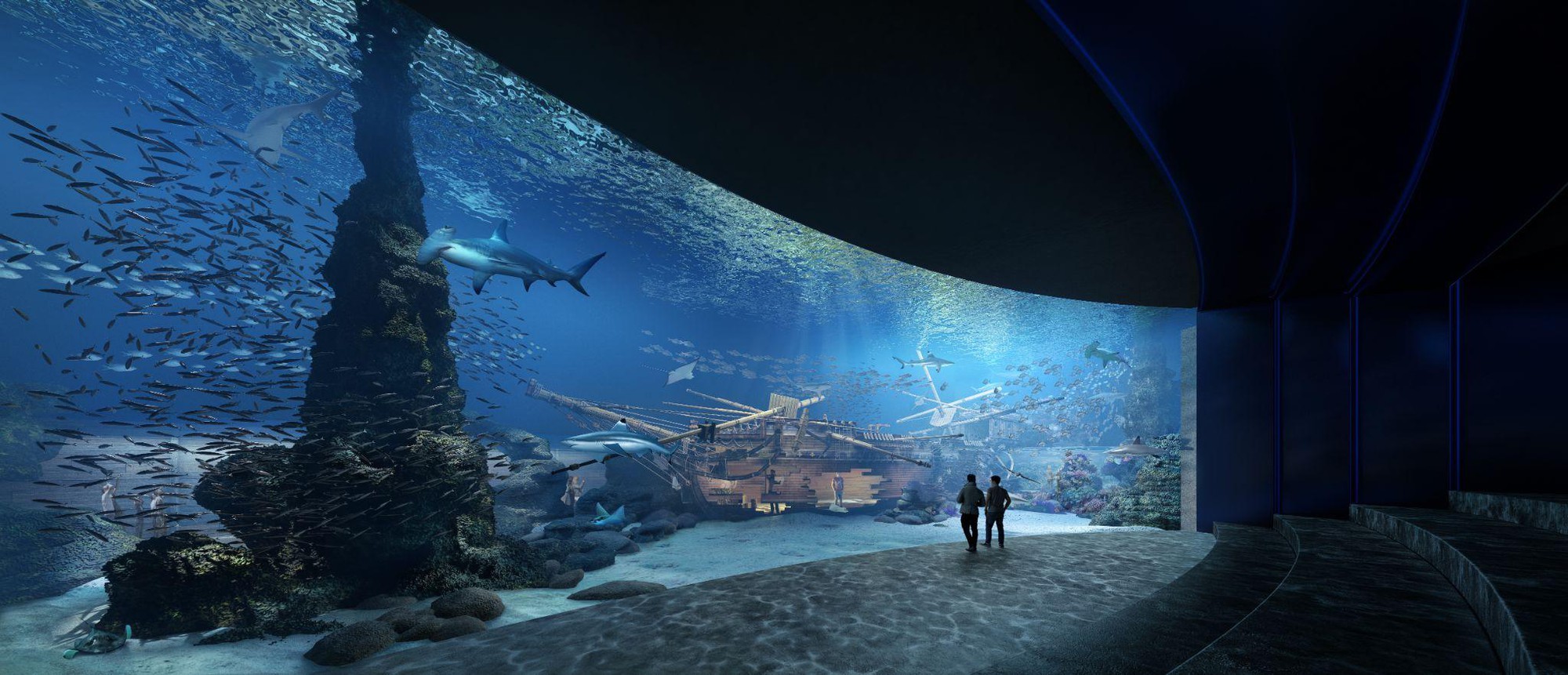 Thủy cung Lotte World Hà Nội - Thế giới đại dương đầy màu sắc sắp khai trương giữa lòng Thủ đô - Ảnh 2.