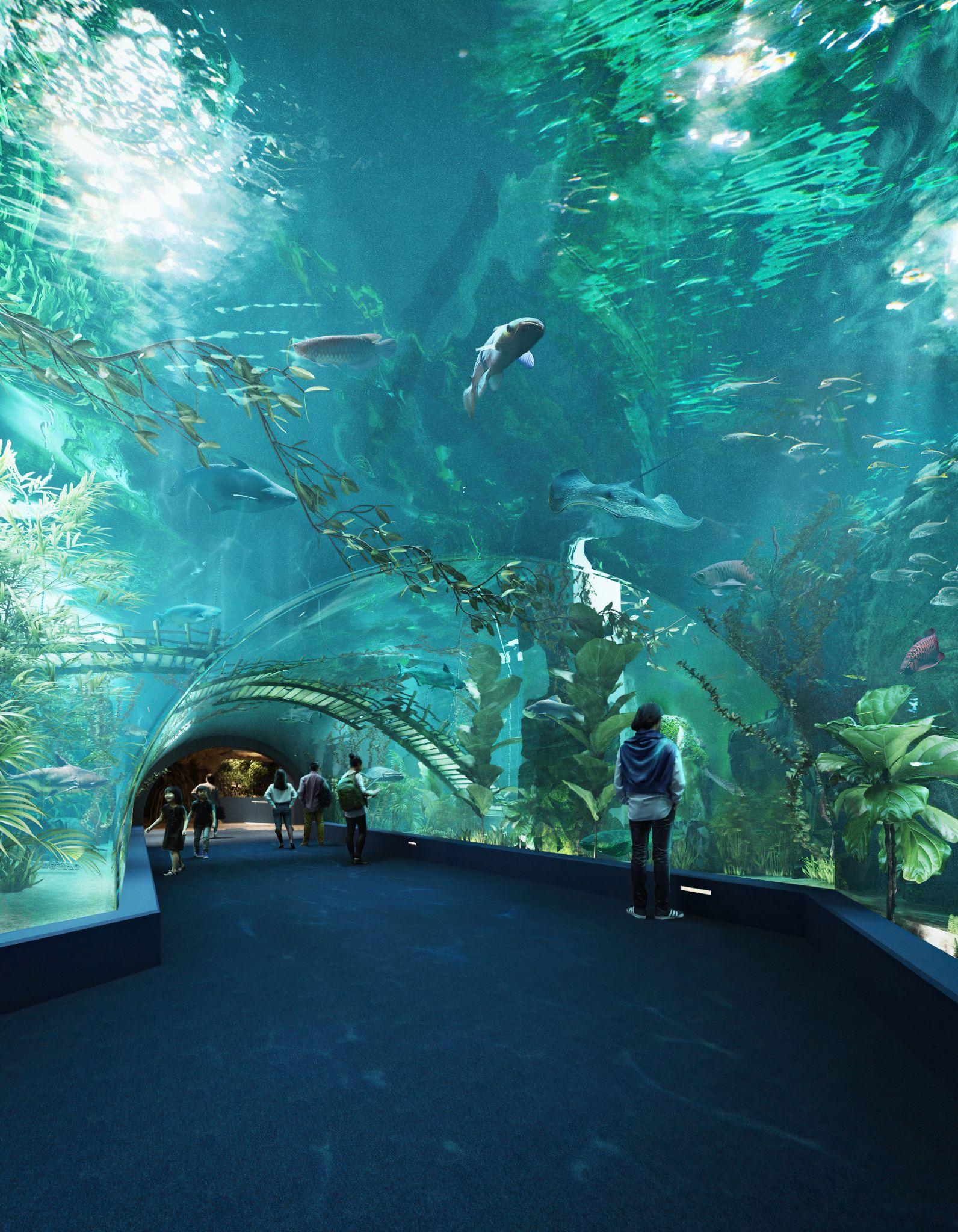 Thủy cung Lotte World Hà Nội - Thế giới đại dương đầy màu sắc sắp khai trương giữa lòng Thủ đô - Ảnh 3.