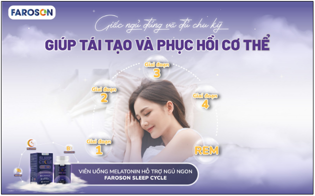 Chu kỳ giấc ngủ - cuộc hành trình tái tạo và hồi phục của cơ thể - Ảnh 1.