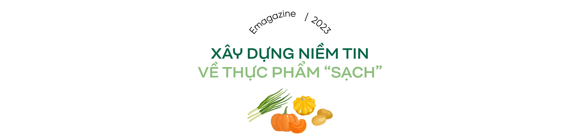 Dấu ấn “niềm tin” trên hành trình mang thực phẩm sạch đến tay người tiêu dùng của Sói Biển - Ảnh 5.