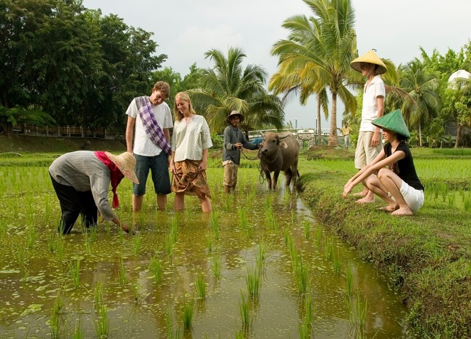 Khởi nghiệp làm du lịch nông nghiệp, du lịch nông thôn: “mỏ vàng” cần được đánh thức - Ảnh 2.