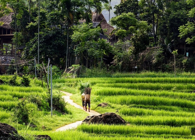 Khởi nghiệp làm du lịch nông nghiệp, du lịch nông thôn: “mỏ vàng” cần được đánh thức - Ảnh 3.