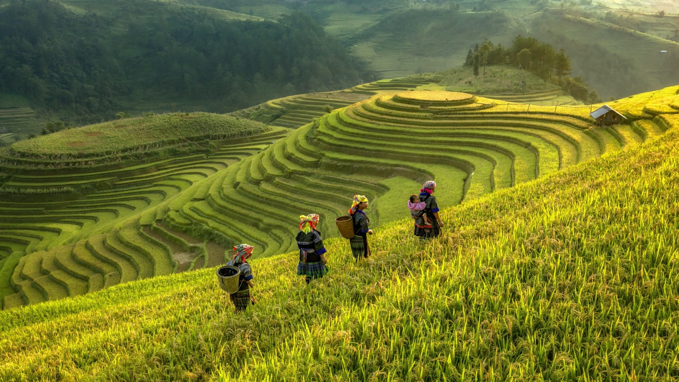 Khởi nghiệp làm du lịch nông nghiệp, du lịch nông thôn: “mỏ vàng” cần được đánh thức - Ảnh 4.