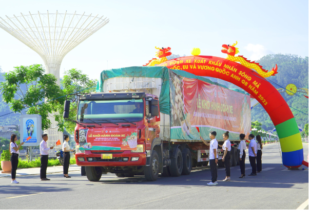 Sông Mã xuất khẩu lô nhãn đầu tiên niên vụ 2023 chinh phục quốc tế - Ảnh 5.