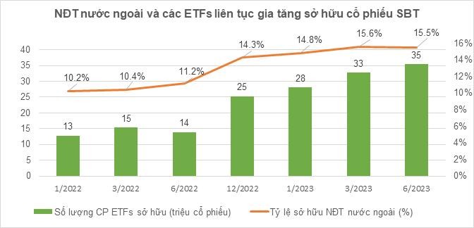 Giải mã sức hút của SBT đối với nhà đầu tư ngoại - Ảnh 1.